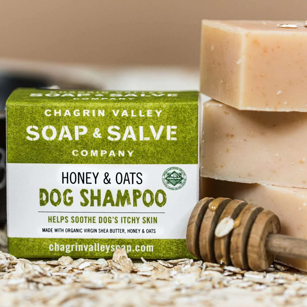 Best organic shampoo bar