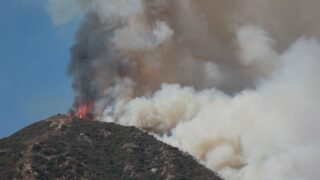 Los Angeles WindFire Assets